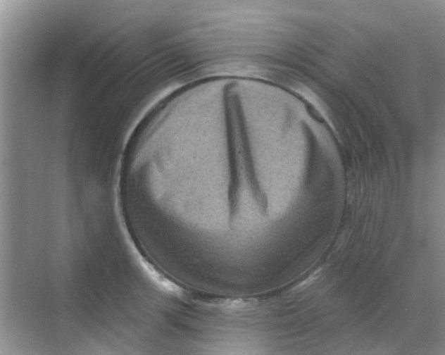 X0000068271139200605121839