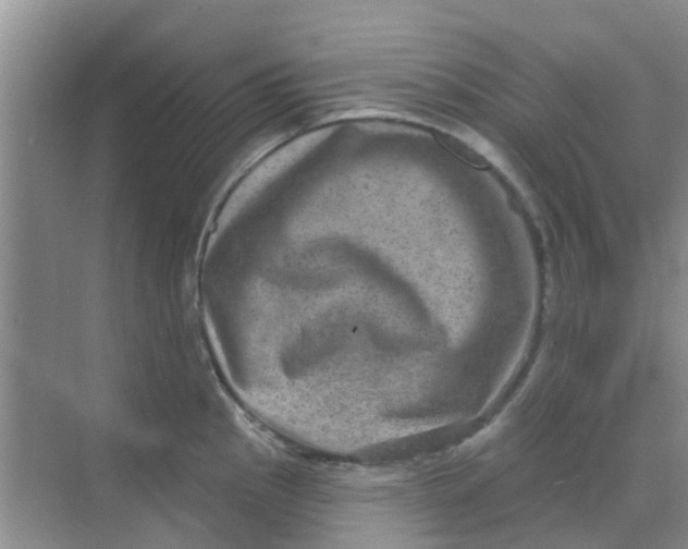 X0000068271145200605121839