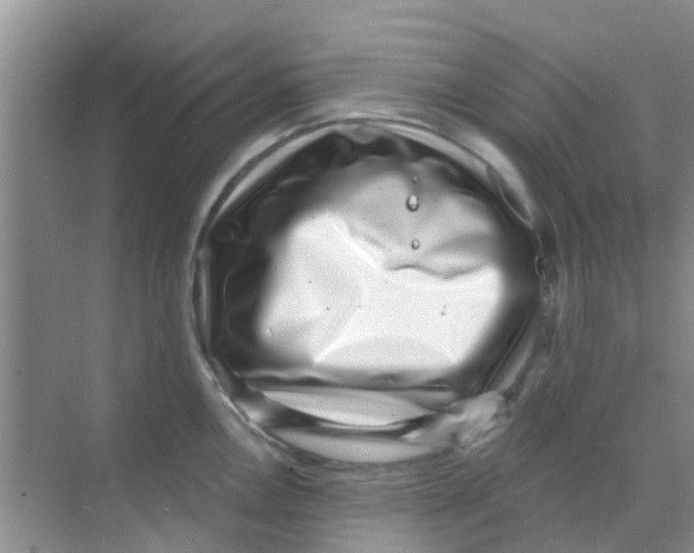 X0000068271146200605121839