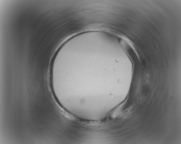 X0000068271147200605121839