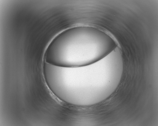 X0000068271148200605121839