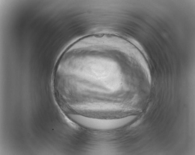 X0000068271149200605121839