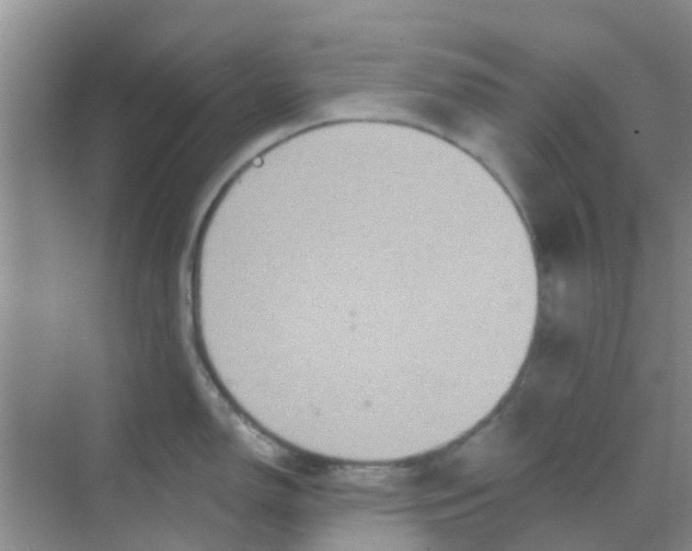 X0000068271150200605121839