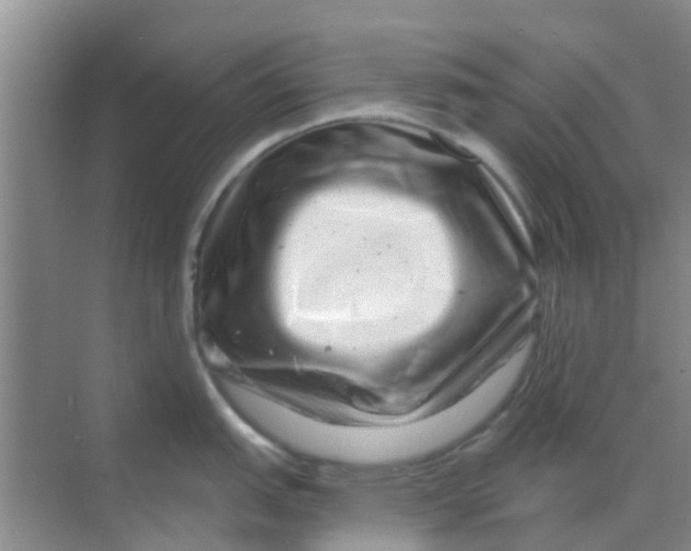 X0000068271151200605121839