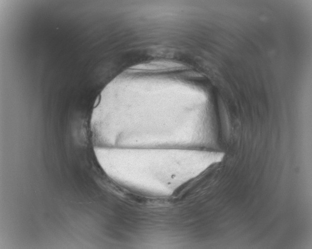 X0000068271154200605121839