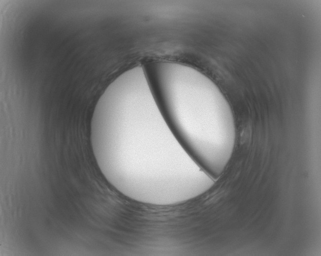 X0000068271156200605121838