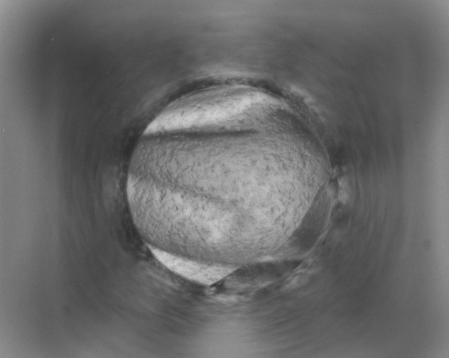 X0000068271157200605121838