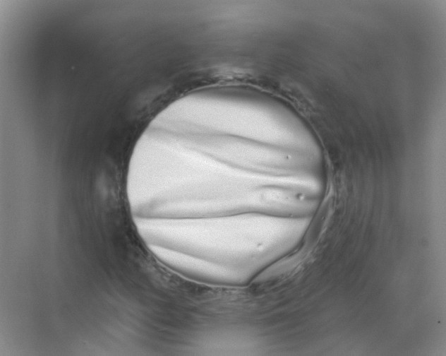 X0000068271158200605121838