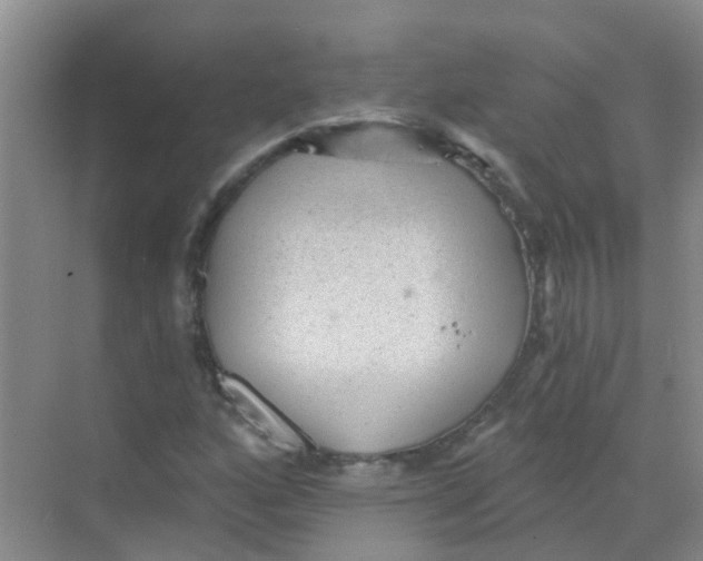 X0000068271160200605121838