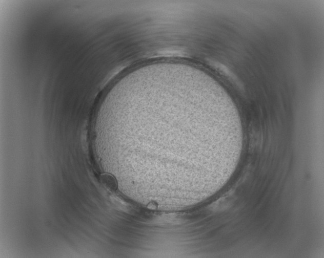 X0000068271162200605121838