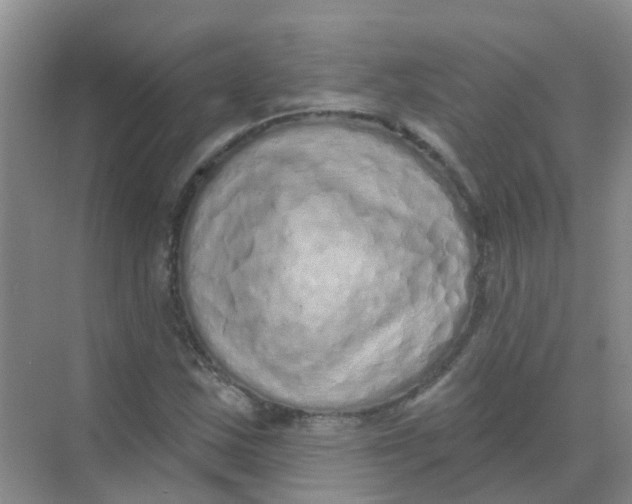 X0000068271163200605121838