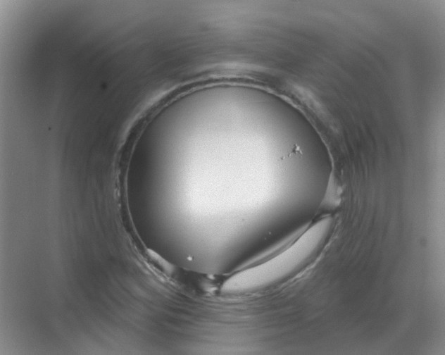 X0000068271164200605121838