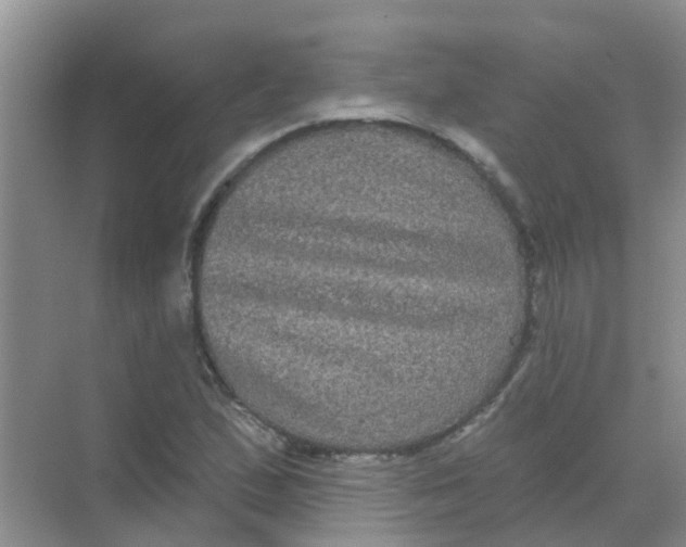 X0000068271167200605121838