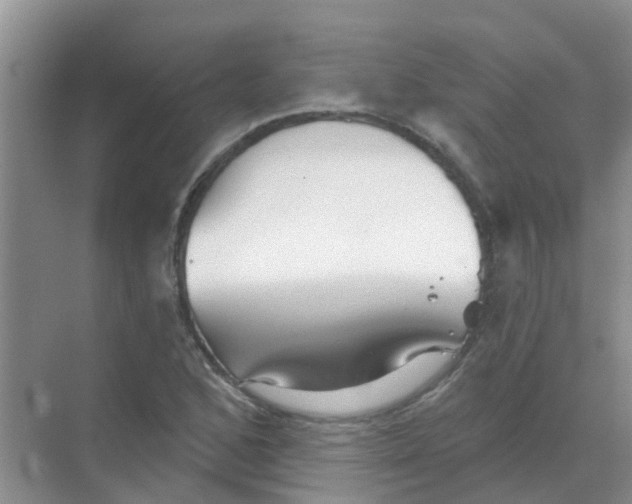 X0000068271168200605121838