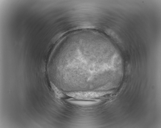 X0000068271169200605121838