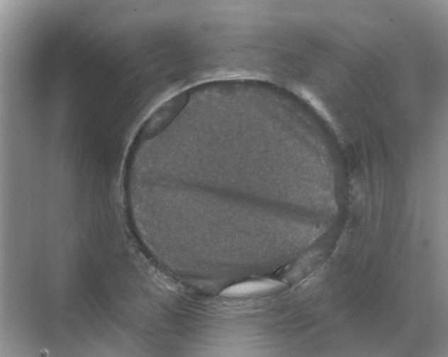 X0000068271173200605121838