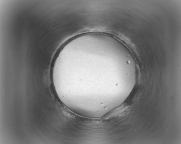 X0000068271174200605121838