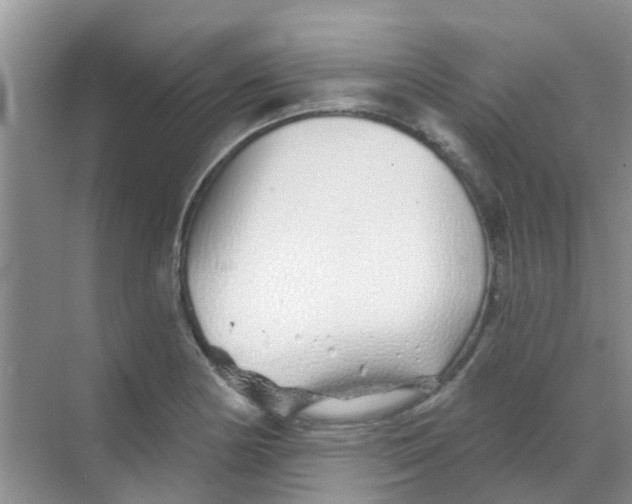 X0000068271178200605121838