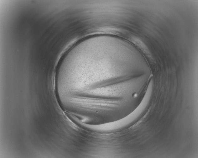 X0000068271180200605121838