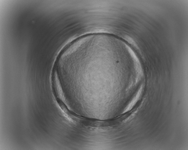 X0000068271181200605121838