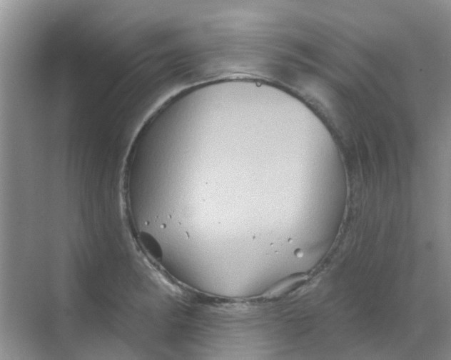 X0000068271182200605121838