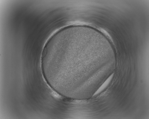 X0000068271183200605121838