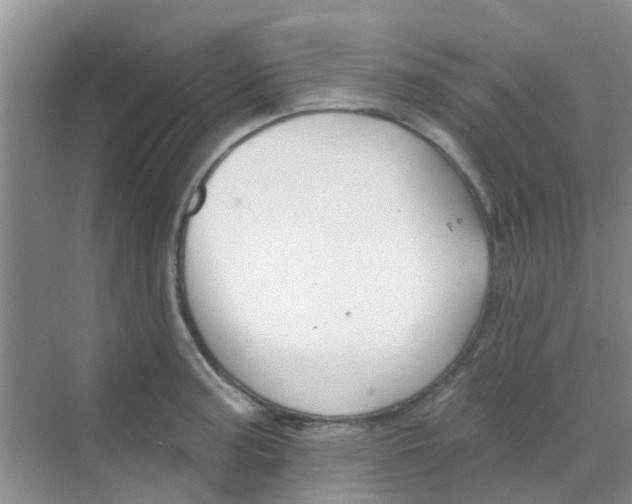 X0000068271187200605121838