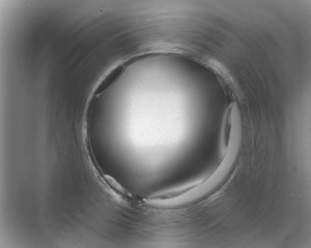 X0000068271188200605121838