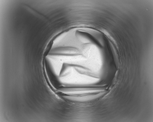 X0000068271189200605121838