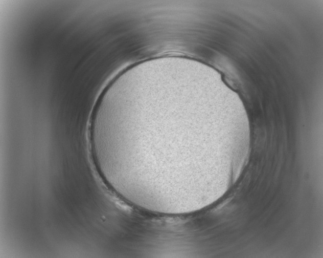 X0000068271190200605121838