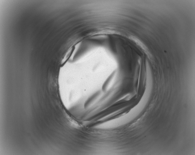 X0000068271193200605121838