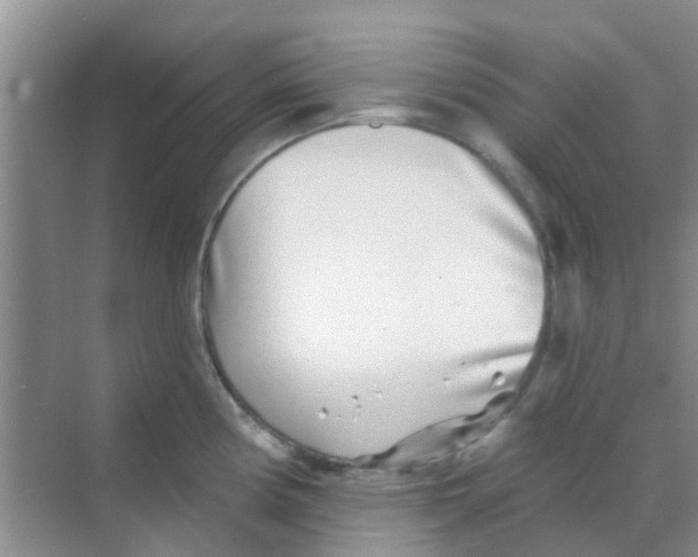 X0000068271194200605121838