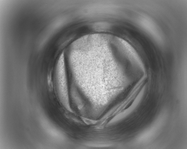 X0000068271198200605121838