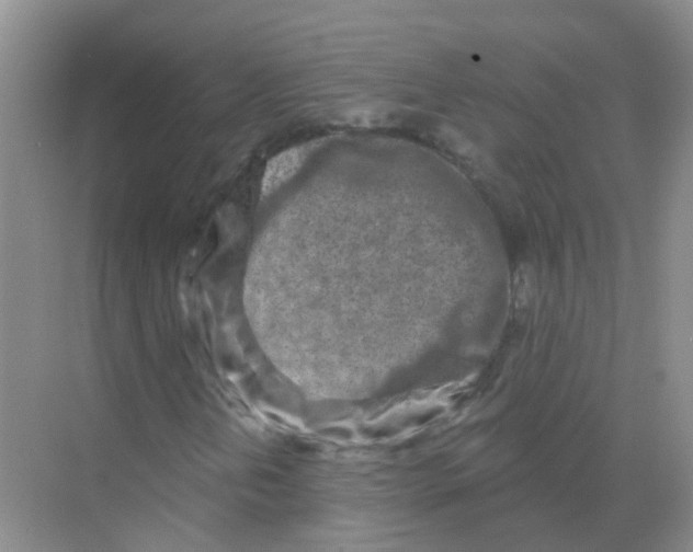 X0000068271202200605121837