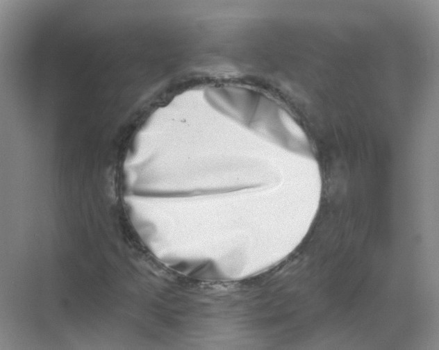 X0000068271205200605121837