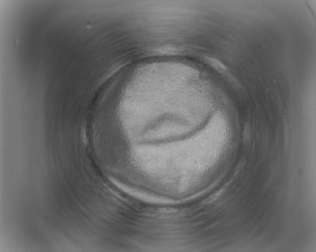 X0000068271209200605121837