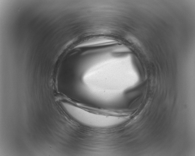 X0000068271210200605121837