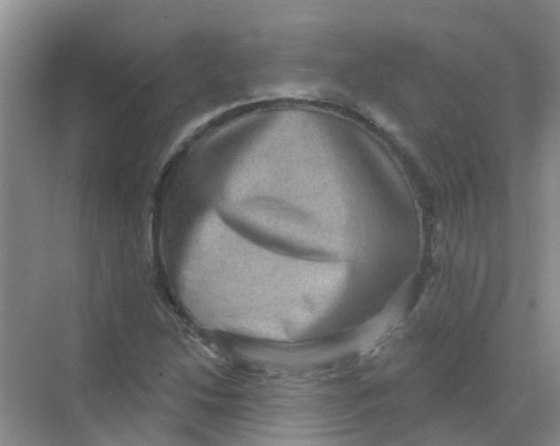 X0000068271214200605121837