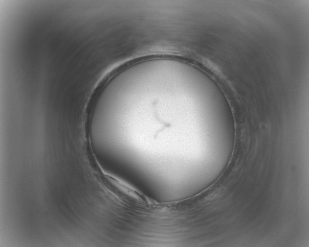 X0000068271222200605121837