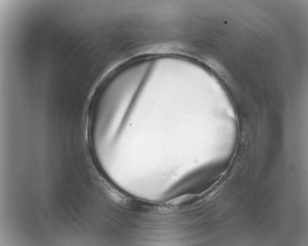 X0000068271224200605121837