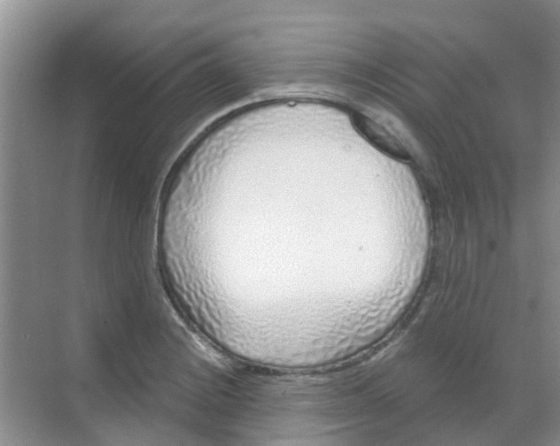 X0000068271228200605121837