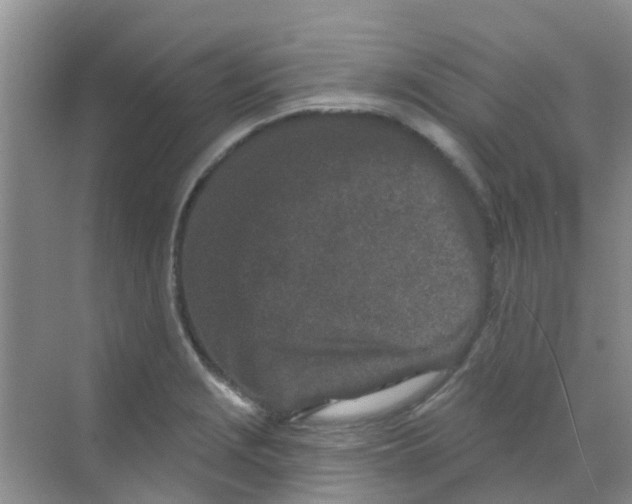 X0000068271229200605121837