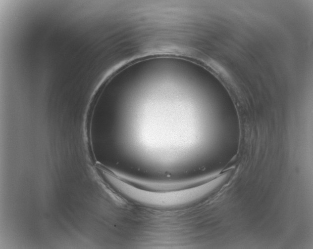 X0000068271230200605121837