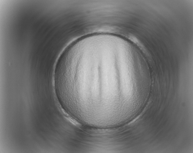 X0000068271232200605121837