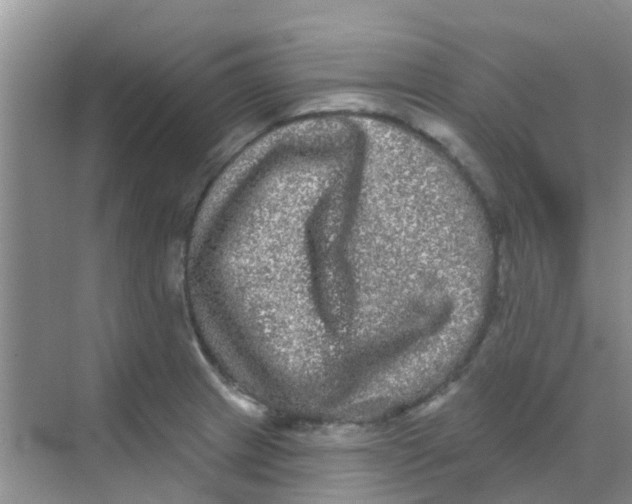 X0000068271233200605121837