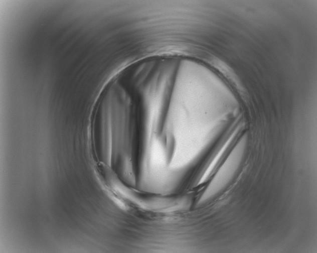 X0000068271234200605121838