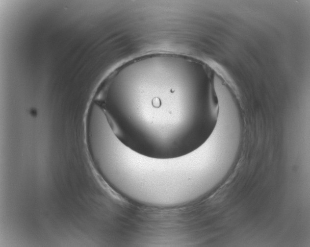 X0000068271238200605121838