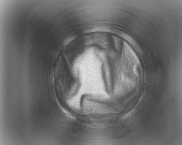 X0000068271241200605121838