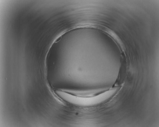 X0000068271242200605121838