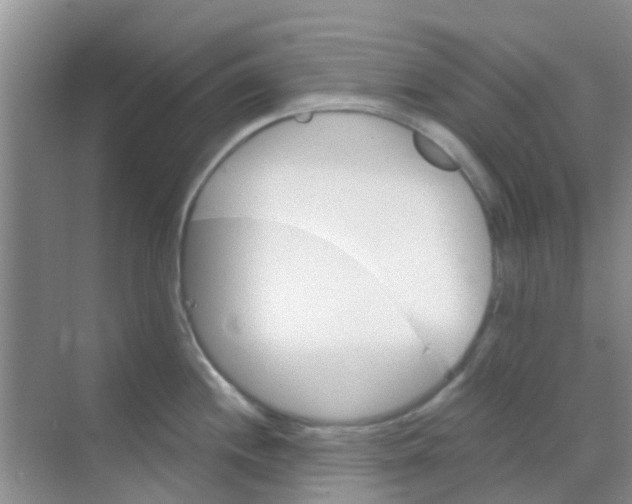 X0000068271244200605121838